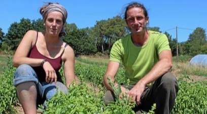On parle de nous chez mangeons-local.bzh