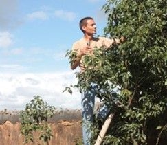 Les Huiles Essentielles