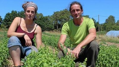 Les Huiles Essentielles